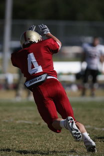 开云娱乐官网-冠军球队赛季告别仪式感人，感恩球员与球迷，球队夺冠怎么发朋友圈